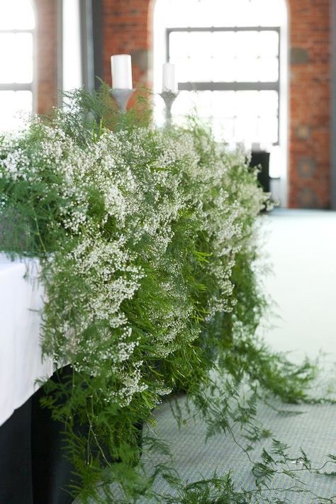 Top Table Flowers, Fern Wedding, Tiny White Flowers, Asparagus Fern, Baby Breath, White Wedding Flowers, Lodz, Top Table, Table Flowers