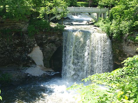 Mainstream Adventures, Waterfall Park, Plan A Day, Rochester Mn, Park Day, Largest Waterfall, Spring Wildflowers, American Bison, Spring Trip