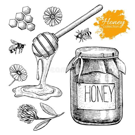 Vector Honey Set. Vintage Hand Drawn Illustration. Stock Vector - Illustration of delicious, health: 61979529 Honey Illustration, Honey Art, Food Sketch, Engraving Illustration, Hand Drawn Illustration, Honey Jar, Illustration Vintage, Drawn Illustration, Drawing Set