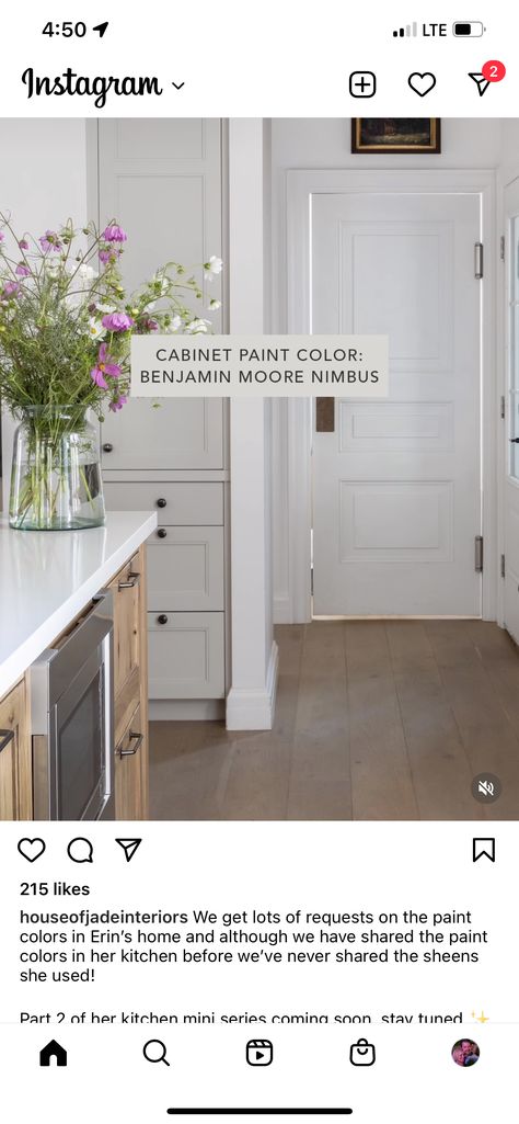 Nimbus Benjamin Moore, Benjamin Moore Kitchen Cabinets, Benjamin Moore Nimbus, Moore Kitchen, Benjamin Moore Kitchen, Cabinet Paint Colors, Benjamin Moore, Paint Colors, Kitchen Cabinets