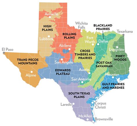 The Wildflower Regions and Vegetational Areas of Texas | Texas Highways Regions Of Texas, Guadalupe Mountains National Park, Guadalupe Mountains, Texas Places, Texas Parks, Rio Grande Valley, Texas Map, Big Bend National Park, South Padre Island