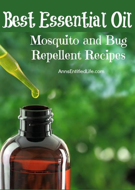 Best Essential Oil Mosquito and Bug Repellent Recipes; ward off mosquitos and bugs with these essential oil recipes for around the house, and personal use. Essential Oil Bug Repellent, Mint Garden, Natural Mosquito Repellant, Lotion Recipe, Insect Spray, Oregano Oil, Essential Oil Benefits, Diffuser Recipes, Bug Repellent