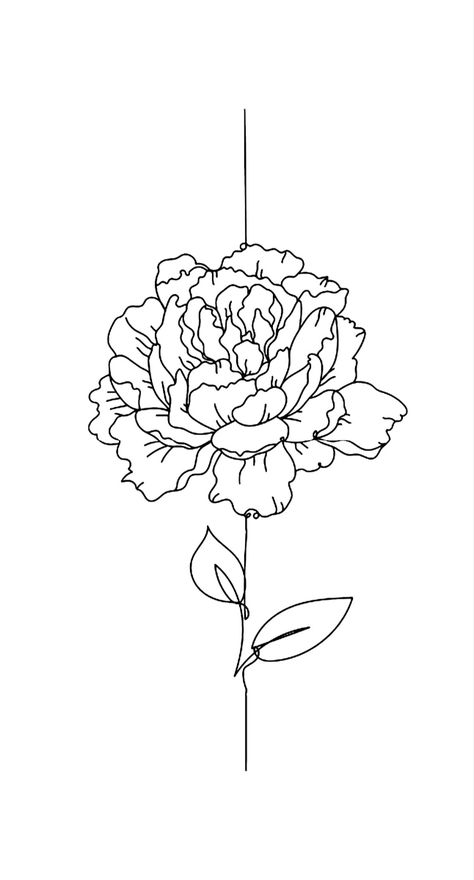 Peony Line Art, Line Art Flowers, Kunst Tattoos, Piskel Art, Art Flowers, Line Art Drawings, Flower Tattoos, 그림 그리기, Flower Drawing