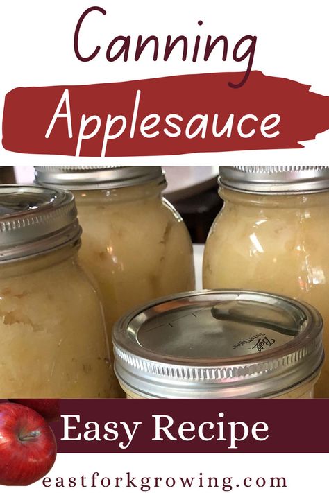 This easy canned applesauce recipe is perfect for beginners! Learn how to make canned applesauce with no sugar and preserve your harvest. With our easy canning applesauce recipe, you'll master canning for beginners and can apple sauce recipes in no time. Want to know how long to water bath applesauce? This recipe has all the details! How To Can Apple Sauce, Canning Apple Recipes, Canning Applesauce Recipe, Sugar Free Applesauce, Apple Canning, Applesauce Recipes Canning, Applesauce Recipes, Canning For Beginners, Canning Applesauce