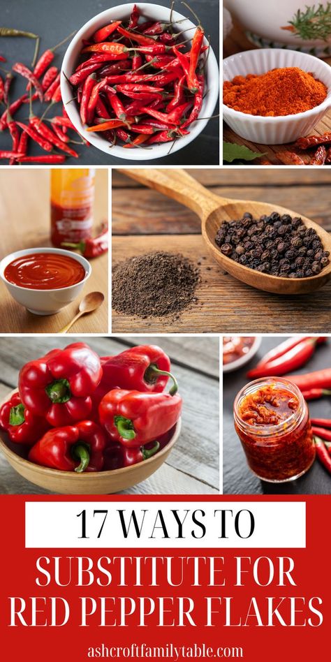 Here are 17 easy ways to substitute for red pepper flakes when you’re in a pinch or can’t take the heat, plus how to make your own! You'll also find 3 delicious red pepper flakes recipes to try! If you need a good substitute for red pepper flakes, definitely read this list! Red Pepper Flakes Recipes, Food Substitutions, Recipes To Try, Family Table, Cayenne Pepper, Cayenne Peppers, Kitchen Tips, Red Pepper Flakes, Red Pepper