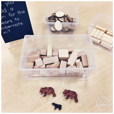 Hibernation Kindergarten, Hibernation Preschool Theme, Hibernation Preschool Crafts, Hibernation Preschool Activities, Hibernation Crafts, Winter Animals Preschool, Hibernation Preschool, Hibernation Activities, Kindergarten Inquiry