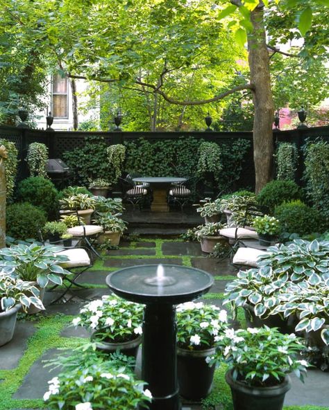 Small Garden Design Ideas Low Maintenance, Small Courtyard Gardens, The Secret Garden, Creative Gardening, Backyard Garden Design, City Garden, Beautiful Backyards, Small Garden Design, Courtyard Garden