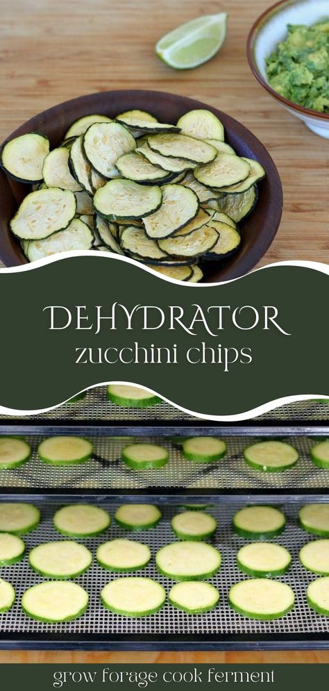 Dehydrator Zucchini Chips: Dehydrated Food Recipes - You're going to love these zucchini chips made in a dehydrator. Dried zucchini chips made an easy and healthy snack that's low carb and keto diet friendly. If you're looking for ways to preserve zucchini, you'll want to try this dehydrator recipe! Zucchini Chips Dehydrator Recipes, Vegan Dehydrator Recipes, Creative Zucchini Recipes, Dried Zucchini Chips, Drying Zucchini, Dehydrating Zucchini, Dehydrated Zucchini Chips, Dehydrator Recipes Fruit, Dehydrating Food Storage