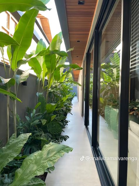 Corridor Plants, Interior Gardens, Modern Tropical House, Tropical Garden Design, Bali House, Compound Wall, Back Garden Design, Diy House Renovations, Courtyard Design