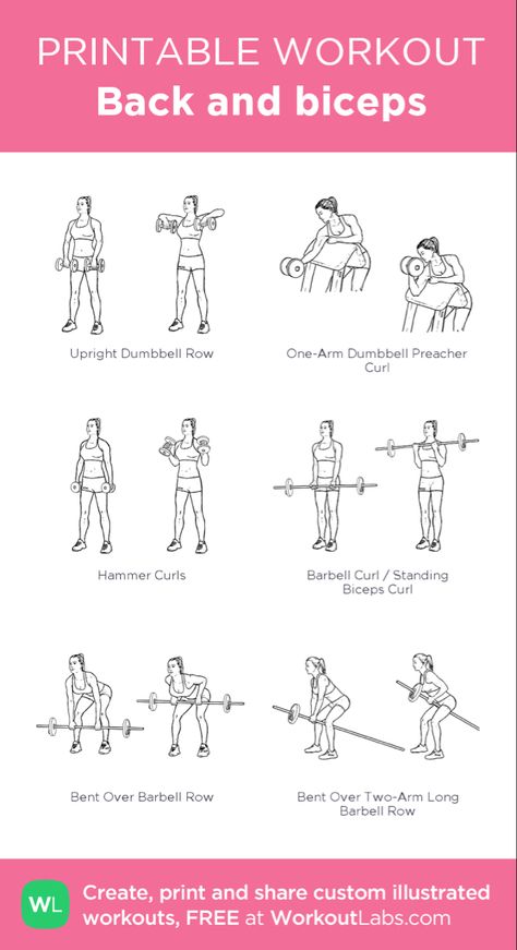 Gym Guide For Beginners, Barbell Workout For Women, Bicep Workout Women, Dumbbell Workout Plan, Workout Female, Back And Bicep Workout, Dumbbell Workout At Home, Workout Labs, Workout Gym Routine