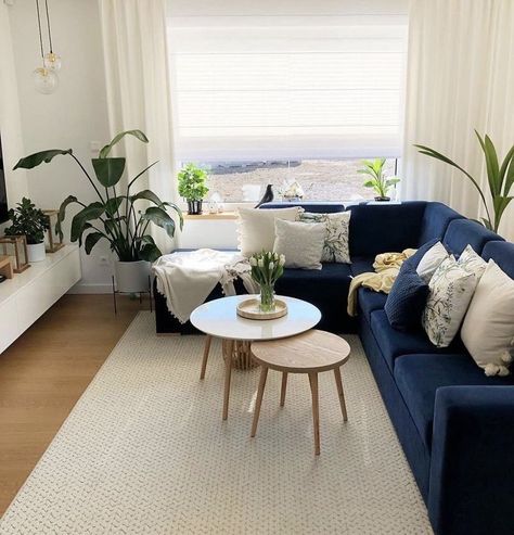 Navy Blue Couch, Navy Sofa Living Room, Home Modern Decor, Blue Rugs Living Room, Blue Sofas Living Room, Blue Couch Living Room, Navy Blue Sofa, Navy Living Rooms, Blue Couch