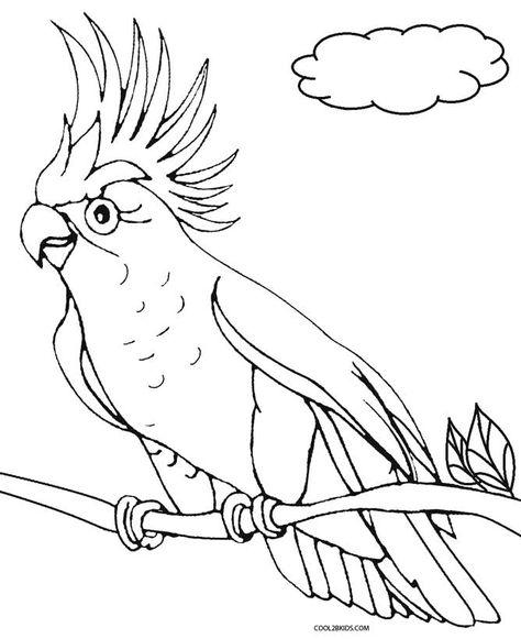 Printable Parrot Coloring Pages For Kids Jungle Coloring Pages, Flamingo Coloring Page, Bird Coloring, Parrot Perch, Bird Coloring Pages, Colorful Parrots, Exotic Bird, Tropical Birds, Bird Drawings