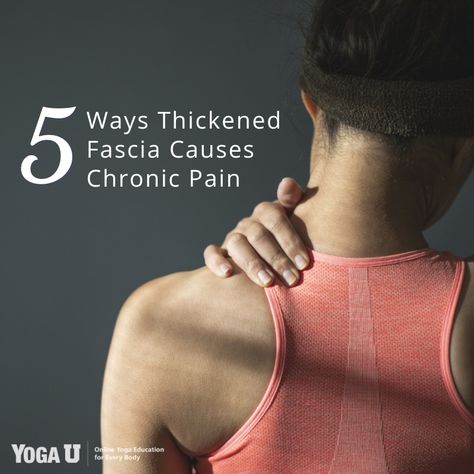 Fascia Flossing, Fascia Health, Fascia Yoga, What Is Fascia, Fascia Release, Fascia Stretching, Nervus Vagus, Fascia Lata, Yoga Articles