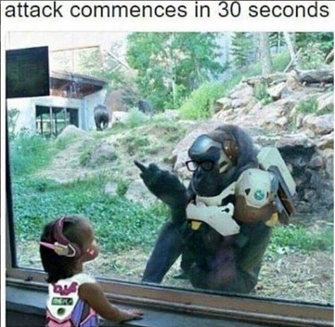 Rude Gamer Humor, 30 Seconds, Overwatch, Humor, Memes, Humour