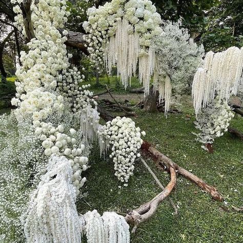 Flowers For Wedding Bouquet, Soft Decor, Eternal Flower, Flower Hanging, Flowers For Wedding, Ocean Wedding, Flower Installation, Ethereal Wedding, Dry Flower