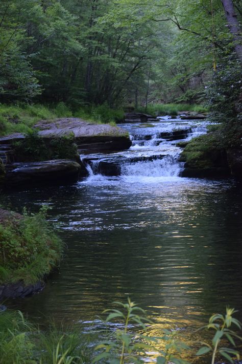 Waterfall Lake Aesthetic, Dark Lakes Aesthetic, Nature Woods Aesthetic, Waterfall Forest Aesthetic, Forest And Lake Aesthetic, River In A Forest, Beautiful Lake In Forest, Forest Lake Aesthetic Dark, Creek In The Forest