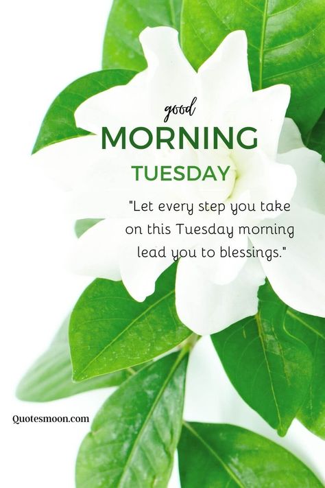 Good Morning Tuesday Blessings And Prayers Good Morning Blessings Tuesday, Morning Blessings Tuesday, Tuesday Morning Prayers, Happy Blessed Tuesday, Tuesday Morning Blessings, Tuesday Blessings Mornings, Good Morning Tuesday Quotes, Good Morning Tuesday Blessings, Tuesday Prayer