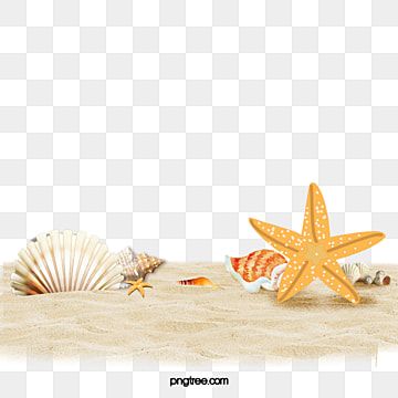 beach,shell,starfish,sandy beach,summer beach,great element,summer theme,sandy,summer,great,element,theme,beach clipart Starfish Clipart, Coconut Vector, Summer Sale Poster, Beach Fonts, Pineapple Illustration, Beach Cartoon, Party Font, Summer Font, Beach Png