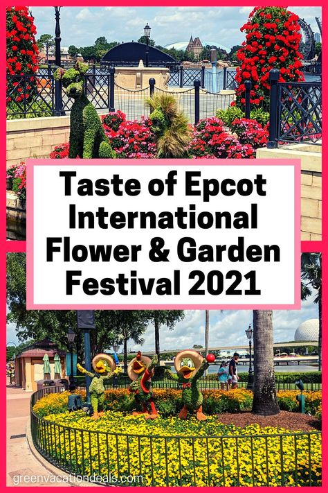 Everything you need to know about this year’s Taste of Epcot International Flower & Garden Festival at Walt Disney World in Orlando Florida. If you’re planning on going in 2021, you need to see this! Find out what you can expect. And take a virtual tour so you can see for yourself what it’s like! Includes where to find your favorite character topiaries, where to find gorgeous gardens, what to eat & drink, the live music & entertainment, how to save money on admission & more. #WaltDisneyWorld Festival Guide, Garden Festival, Vacation Deals, Topiaries, How To Save Money, Music Entertainment, Happiest Place On Earth, Gorgeous Gardens, Disney Food