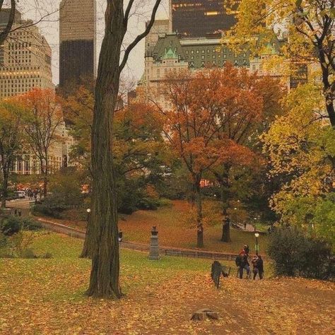 Leaves On The Ground, Rainy Street, Autumn In New York, Season Of The Witch, Fall Inspo, Fall Feels, Best Seasons, We Fall In Love, Autumn Cozy