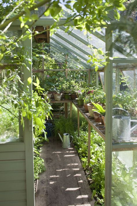 5 things to consider before buying a greenhouse What Is A Conservatory, Greenhouse Staging, Buy Greenhouse, Conservatory Greenhouse, Stylish Room Decor, Greenhouse Effect, Wooden Greenhouses, Backyard Greenhouse, Garden Greenhouse