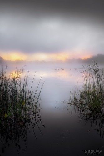 Morning Swim, Morning Photo, Photo Blog, Watercolor Landscape, Nature Wallpaper, Landscape Photos, Early Morning, Beautiful Photography, Beautiful Landscapes