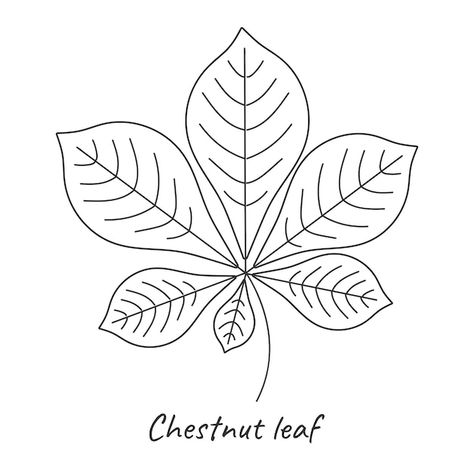 Vector chestnut leaf outline vector illu... | Premium Vector #Freepik #vector #autumn #nature #tree #sign Chestnut Leaf Tattoo, Chestnut Leaf, Leaf Tattoo, Tree Sign, Leaf Outline, Autumn Nature, Nature Tree, Mini Tattoos, Leaf Tattoos