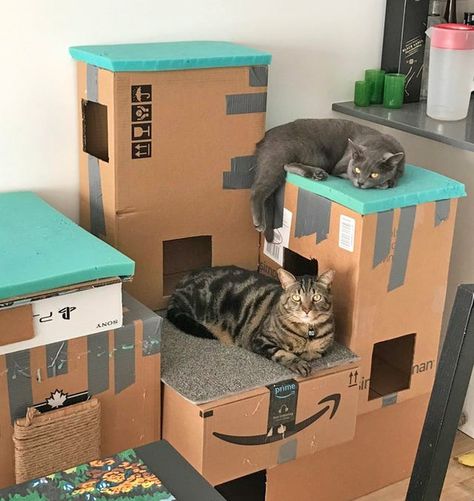 Diy Cat Tower, Kat Diy, Cardboard Cat House, Spoiled Cats, Cat Castle, Cat Couch, Diy Cat Tree, Diy Bird Bath, Cat House Diy