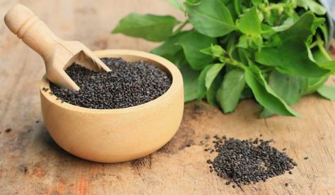 Basil Health Benefits, Basil Seeds, Basil Plant, Holy Basil, Planting Herbs, Chia Seeds, Superfoods, Chia, Natural Remedies