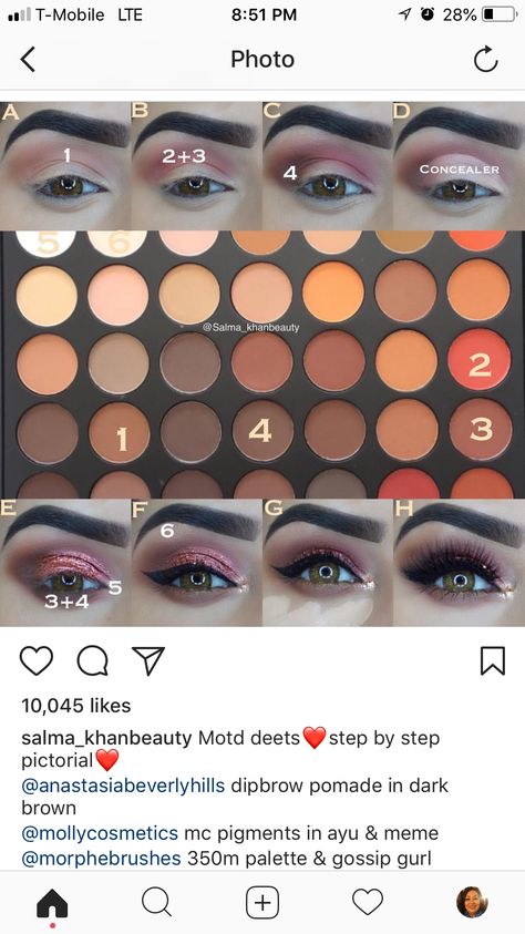 Morphe 350, Morphe Eyeshadow, Makeup Morphe, Makeup Area, Formal Makeup, Simple Eye Makeup, Makeup Guide, Makeup Tattoos, Makeup Guru