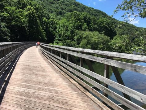 There's So Much To See Along This One-Of-A-Kind West Virginia Trail West Virginia Vacation, West Virginia Travel, West Va, Bird Cardinal, The Greenbrier, Virginia Vacation, Bicycle Trail, Almost Heaven West Virginia, 2023 Travel