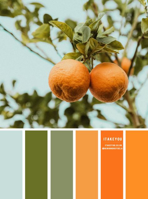 colour palettes Archives 3 - I Take You | Wedding Readings | Wedding Ideas | Wedding Dresses | Wedding Theme Colour Palette With Orange, Powder Blue Colour Palette, Orange Green Colour Palette, Colours That Go With Orange, Light Teal Color Palette, Orange Green Blue Color Palette, Color Palette Orange Green, Blue Orange Green Color Palette, Light Green Colour Palette