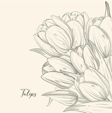 Hand drawn illustration and sketch Tulips flower. Black and white with line art illustration. Idea for business visit card, typography vector,print for t-shirt. Tulip Flower Illustration, Idea For Business, Flower Black And White, Tulip Drawing, Visit Card, Line Art Illustration, Pencil Shading, Flower Black, Pen Sketch