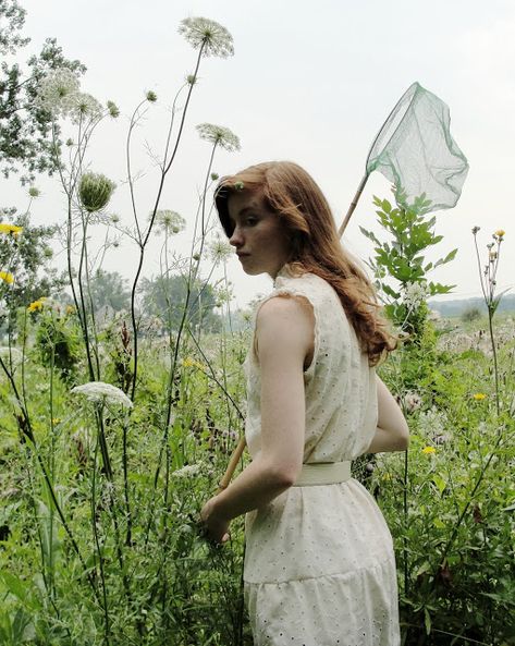 Esther from the Sticks: The life of a butterfly catcher: Life Of A Butterfly, Daucus Carota, Queen Annes Lace, Spring Fever, The Meadows, A Butterfly, Queen Anne, Beautiful World, Lake House