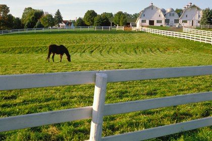 Pasture Fencing, Horse Paddock, Dream Horse Barns, Future Farms, Equestrian Facilities, Farm Fence, Green Travel, Barn Plans, Dream Barn