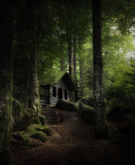 Fantasy Cottage, Epic Photography, Fairytale House, Old Abandoned Houses, Forest Cabin, Forest Photos, Earth Homes, Log Cabin Homes, Cabin In The Woods