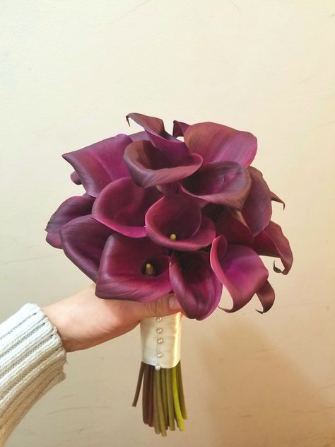 Plum Calla Lily, Calla Lily Bridal Bouquet Burgundy, Burgundy Calla Lilies, Burgundy Calla Lily, Purple Calla Lily Bouquet, Dark Purple Calla Lily Bouquet, Calla Lily Bridal Bouquet, Lily Bridal Bouquet, Calla Lily Bridal