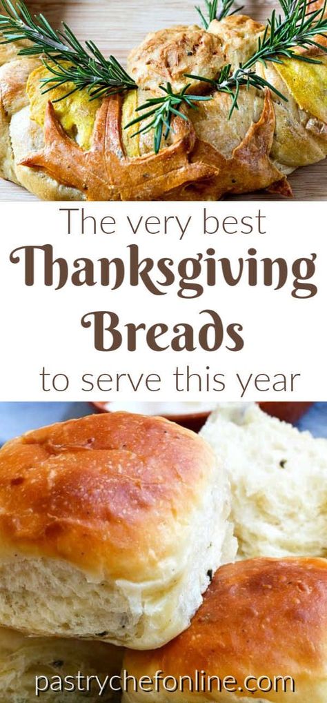 I've rounded up the best Thanksgiving breads for you to make to serve along with your Thanksgiving dinner. The best bread recipes and roll recipes, plus a couple of biscuit recipes for folks who don't think dinner is complete without a biscuit! Many of these breads & rolls can be served any time of year, but others are seasoned with Thanksgiving spices or are savory pumpkin breads, making them very seasonal. #Thanksgivingbreads #Thanksgivingrolls #breadrecipes #rolls #biscuits #pastrychefonline Thanksgiving Bread Ideas, Dinner Bread Recipes, Thanksgiving Breads, Thanksgiving Biscuits, Pictures Of Thanksgiving, Bread For Thanksgiving, Wall Garden Ideas, Thanksgiving Bread Recipes, Pumpkin Breads