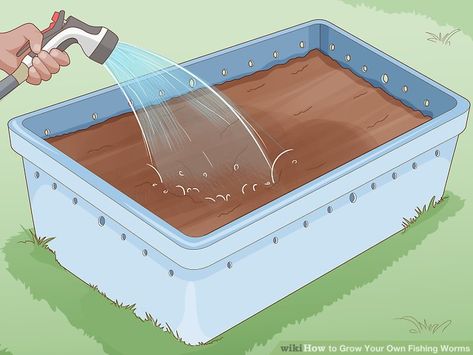 How to Grow Your Own Fishing Worms: 11 Steps (with Pictures) Vermicomposting Worm Farm, Worm Farm Diy, Worm Beds, Fishing Worms, Meal Worms, Worm Bin, Red Worms, Tackle Shop, Worm Composting