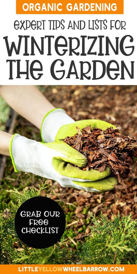 Garden Preparation, Beginner Gardening, Winter Tips, Garden Rake, Best Perennials, Backyard Flowers, Organic Mulch, Seed Starter, Overwintering