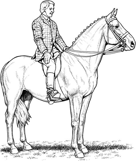 Do you have a love for horses and coloring? Then you'll be excited to learn about realistic horse coloring pages! With the combination of these two activities, you can create vibrant and unique art pi... Monkey Coloring Pages, Coloring Pages For Teenagers, Horse Competition, Free Horses, Horse Dressage, Coloring Designs, Horse Coloring Pages, Best Coloring Pages, Baby Horses