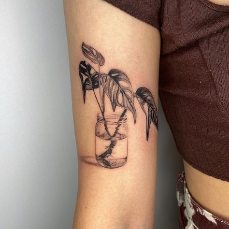 Camille 🌱 on Instagram: “Drippy monstera adansonii propagation from my flash for Andrea ! Love how this one came out 🖤🖤” Leg Band Tattoos, Upper Leg Tattoos, Vase Tattoo, Plant Tattoos, Tattoo Sites, Lower Leg Tattoos, Zelda Tattoo, Band Tattoos, Monstera Adansonii