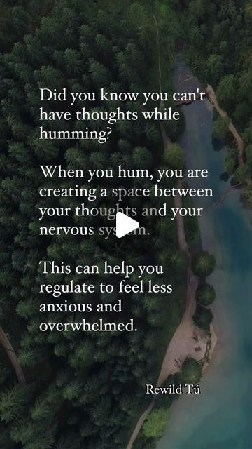 Rewild Tú on Instagram: "Do you ever notice this?  When you start humming, it soothes your nervous system?   Like when you’re feeling overwhelmed or even irritated and you start humming and almost instantly you’re calmer?  It’s like when you’re soothing a baby. You hum and the vibration on your chest calms them.   Why you should hum:  1️⃣ When you hum, you are stimulating your vagus nerve, which calms your nervous system. Humming can also activate the parasympathetic nervous system, which helps calm and restore body functions like digestion, respiration, and heart rate.   2️⃣ If you intentionally hum while trying to listen to one solid note and feel the vibration in your body - that’s meditation! You’re giving your brain a break. Try saying ommmmm.   Now this post isn’t for arguing. Just a Nervus Vagus, Body Functions, Relaxation Response, Parasympathetic Nervous System, Vagus Nerve, Mental And Emotional Health, Your Brain, Emotional Health, Heart Rate