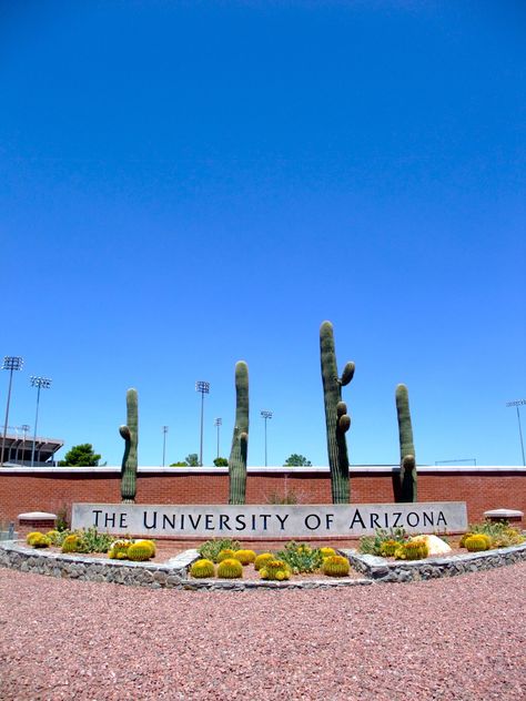 University of Arizona Arizona Vision Board, Uofa Wildcats Arizona, University Of Arizona Aesthetic, Arizona State University Aesthetic, University Of Miami Campus, U Of Arizona, University Of Arizona Tucson, University Of Arizona Campus, University Of Michigan Logo