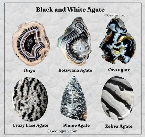 Black and White Agate Stones (Photos), Black And White Stone, Agate Rock, Agate Rocks, Gem Mining, Zebra Jasper, Unique Bands, Visual Texture, White Agate, Minerals And Gemstones