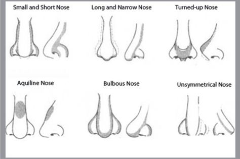 how to contour different types of nose shapes Nose Contouring Makeup, Crooked Nose, Bulbous Nose, Different Nose Shapes, Nose Types, Nose Makeup, Wide Nose, Nose Contouring, Nose Drawing