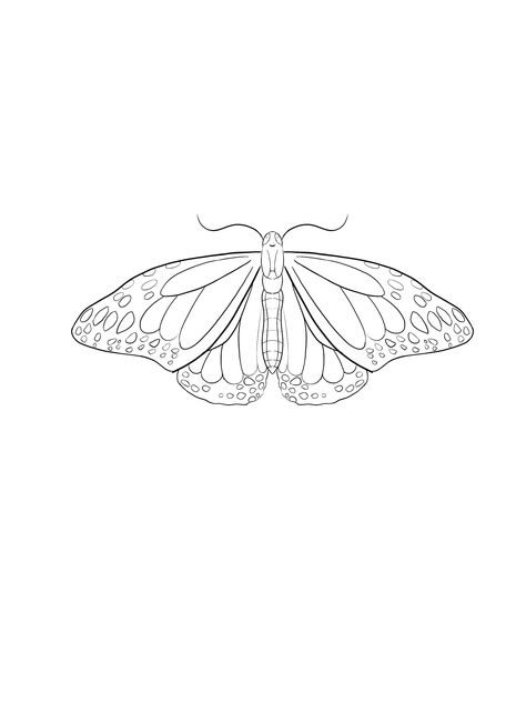 Moth Line Tattoo, Fineline Moth Tattoo, Moth Tattoo Elbow, Moth Tattoo Fine Line, Moth Elbow Tattoo, Moth Outline Tattoo, Fine Line Moth Tattoo, Moth Tattoo Outline, Moth Tattoo Simple