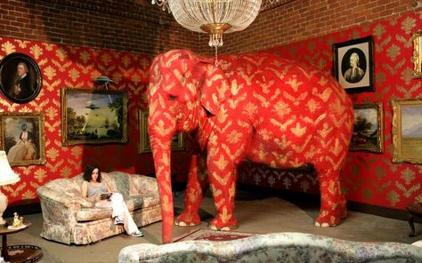 An elephant in the living room - read my latest blogpost about my Whole Food Plant Based Diet! Elephant In The Room, One Point Perspective, Elephant Room, Banksy Art, Graffiti Artwork, Elephant Painting, Elephant Love, Elephant Art, Graffiti Artist