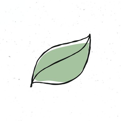 Natural green leaf psd clipart | premium image by rawpixel.com / nunny Doodle Art Tree, Leaf Line Drawing, Leaf Doodle, Cartoon Leaf, Leaves Doodle, Cute Doodle, Leaf Illustration, Art Tree, Leaves Vector