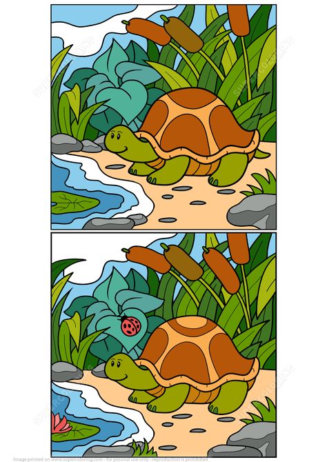 Find 12 Differences Between Pictures of Turtle Puzzle | Super Coloring Find The Difference Between Two Pictures, Spot The Difference Kids, Spot The Difference Printable, Pictures Of Turtles, Crosswords For Kids, Find The Difference Pictures, Easy Handwriting, Spot The Difference Puzzle, Find The Differences Games